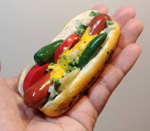 fake chicago style hotdog 